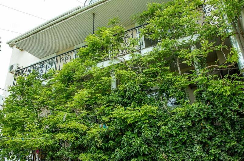 Изображение Изображение гостиницы &quot;Гостевой дом «Москвичка»&quot; #8 #6