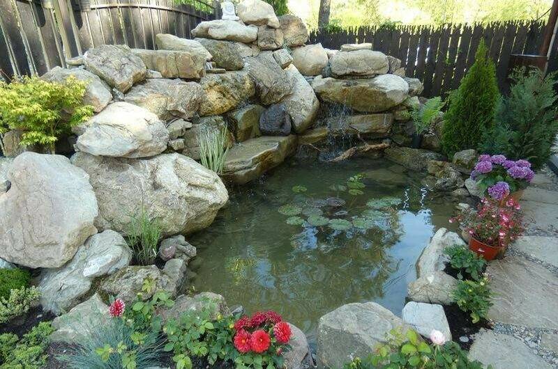 Изображение Изображение гостиницы &quot;Отель «Lotus»&quot; #8 #6