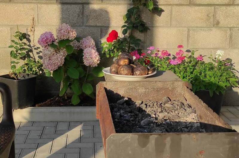 Изображение Изображение гостиницы &quot;Гостевой дом «Пекан»&quot; #7 #5