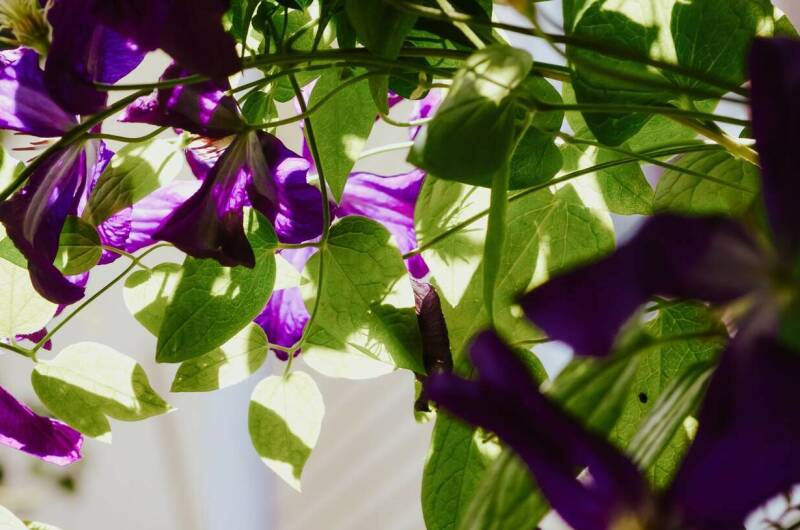 Изображение Изображение гостиницы &quot;Частный сектор «Высокий берег»&quot; #5 #3