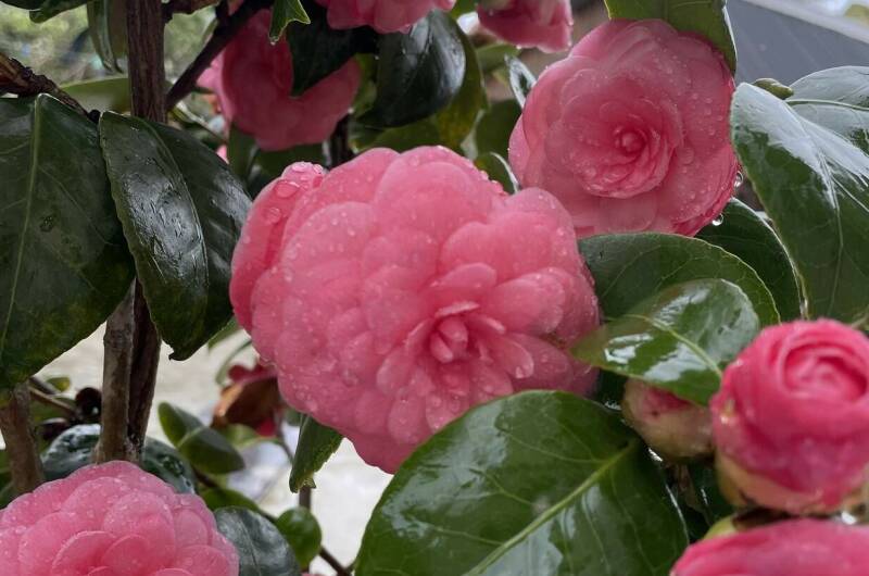 Изображение Изображение квартиры &quot;Этаж под ключ «Отдых у Риты»&quot; #6 #4