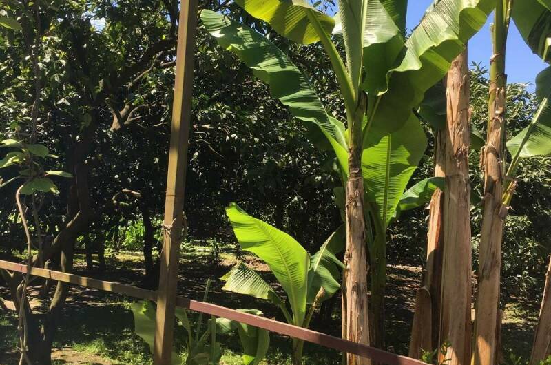 Изображение Изображение квартиры &quot;Этаж под ключ «Отдых у Риты»&quot; #7 #5