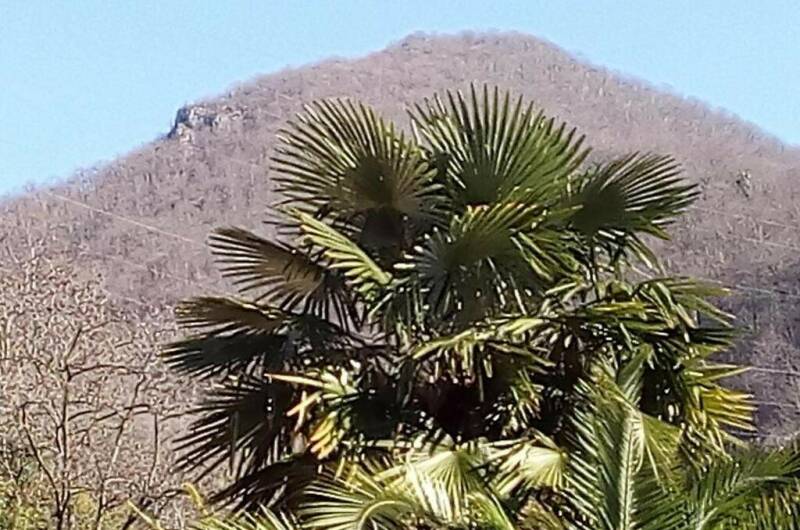 Изображение Изображение гостиницы &quot;Отель «Inn Rif»&quot; #3 #1