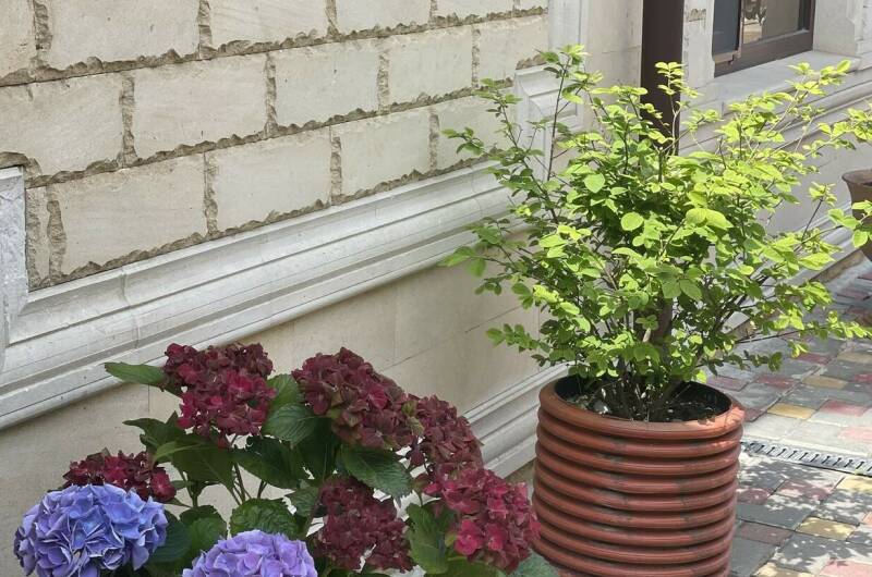 Изображение Изображение гостиницы &quot;Гостиница «Карс»&quot; #7 #5