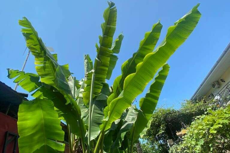 Изображение Изображение гостиницы &quot;Гостевой дом «Венеция»&quot; #4 #2