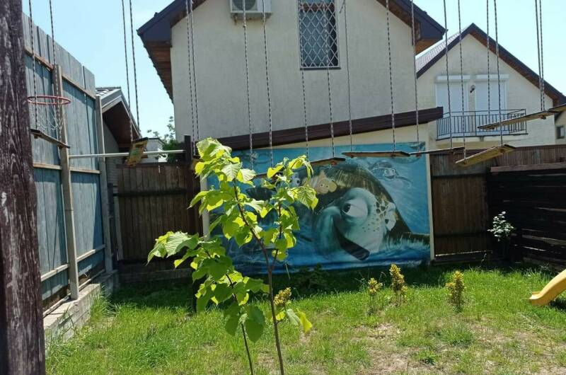 Изображение Изображение гостиницы &quot;Гостевой дом «Светлый»&quot; #3 #1