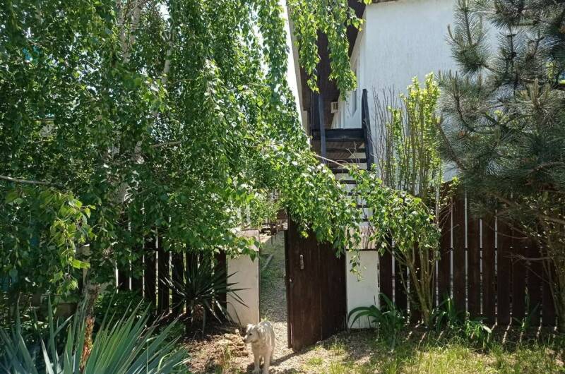 Изображение Изображение гостиницы &quot;Гостевой дом «Светлый»&quot; #5 #3