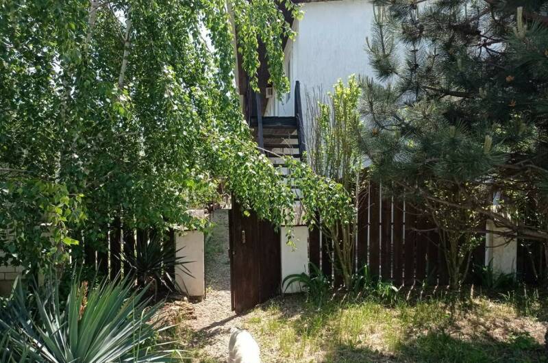 Изображение Изображение гостиницы &quot;Гостевой дом «Светлый»&quot; #6 #4