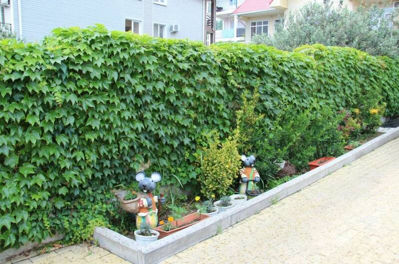 Изображение Изображение гостиницы &quot;Мини гостиница «Чкалова Апарт»&quot; #5 #3