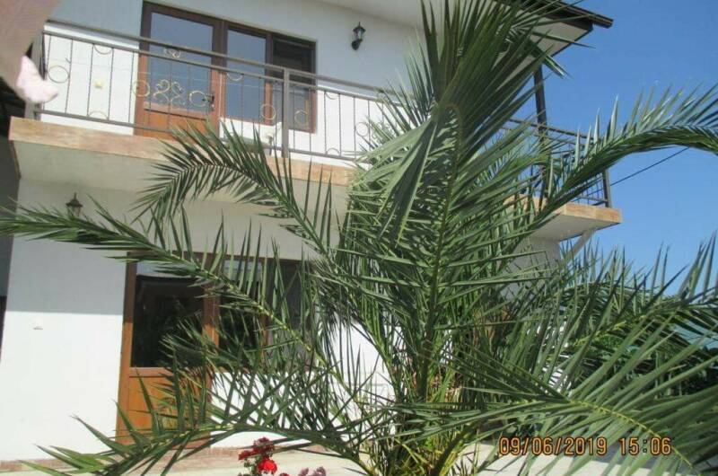 Изображение Изображение гостиницы &quot;Гостевой дом «Арарат и Светлана»&quot; #5 #3