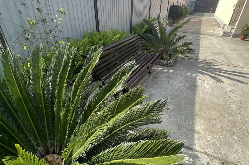 Изображение Изображение гостиницы &quot;Гостевой дом «Арарат и Светлана»&quot; #6 #4