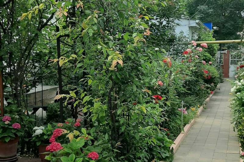 Изображение гостиницы "Частный дом «Визит»" #1