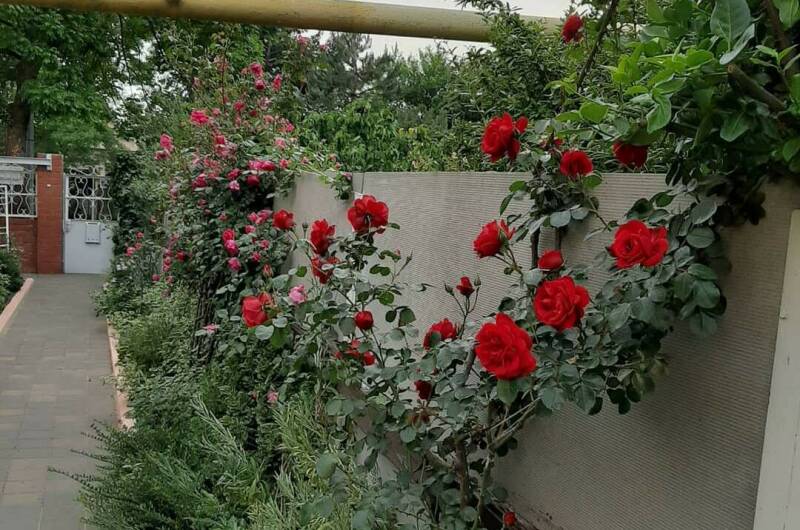 Изображение Изображение гостиницы &quot;Частный дом «Визит»&quot; #5 #3