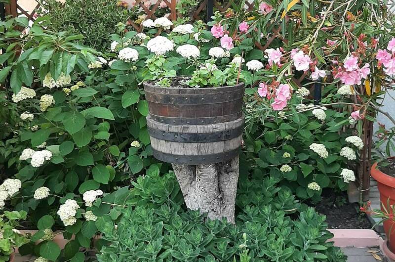 Изображение Изображение гостиницы &quot;Частный дом «Визит»&quot; #6 #4