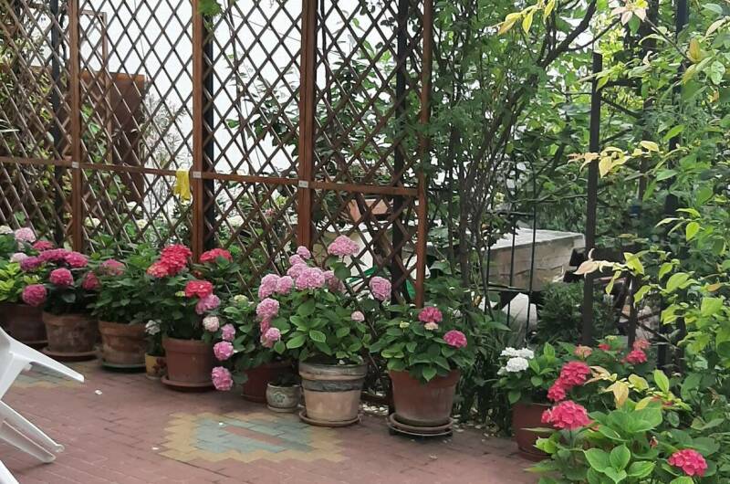 Изображение Изображение гостиницы &quot;Частный дом «Визит»&quot; #8 #6