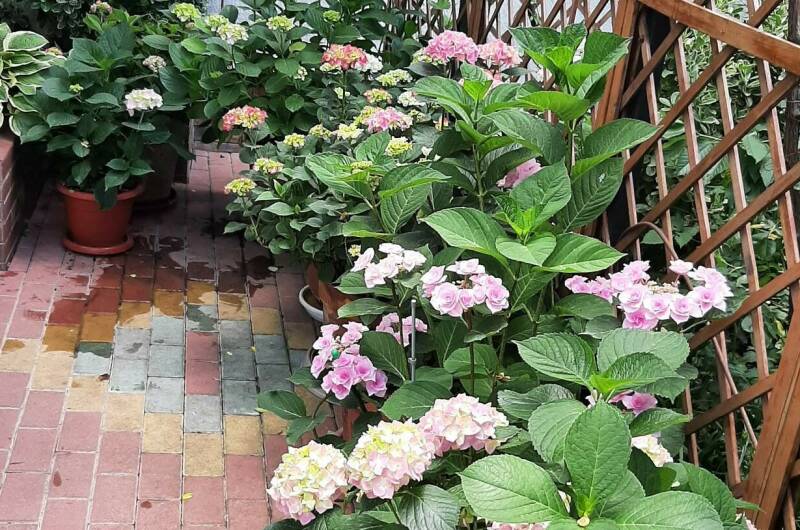 Изображение Изображение гостиницы &quot;Частный дом «Визит»&quot; #10 #8