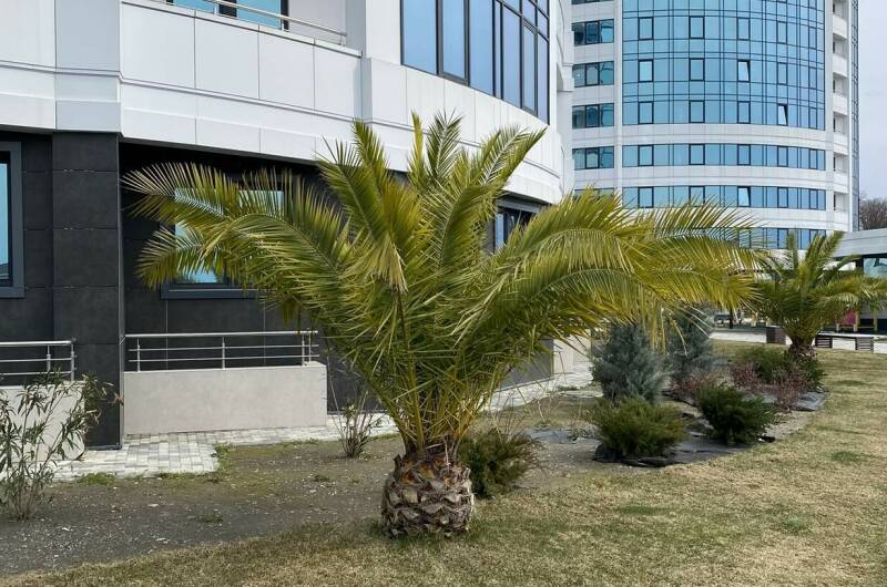 Изображение Изображение квартиры &quot;Видовая квартира&quot; #11 #9