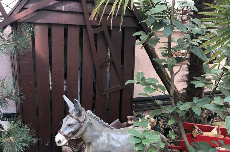 Изображение Изображение гостиницы &quot;Отель «ВИКТОРиЯ»&quot; #8 #6