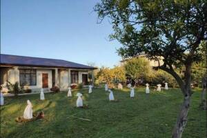 Изображение отеля / гостиницы "Гостевой дом «У Марины»"