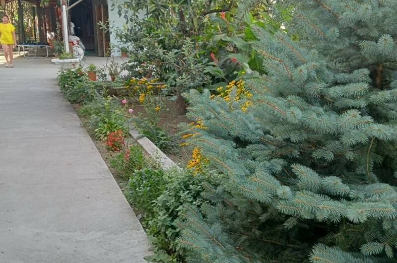 Изображение Изображение гостиницы &quot;Гостевой дом «У Аиды»&quot; #3 #1