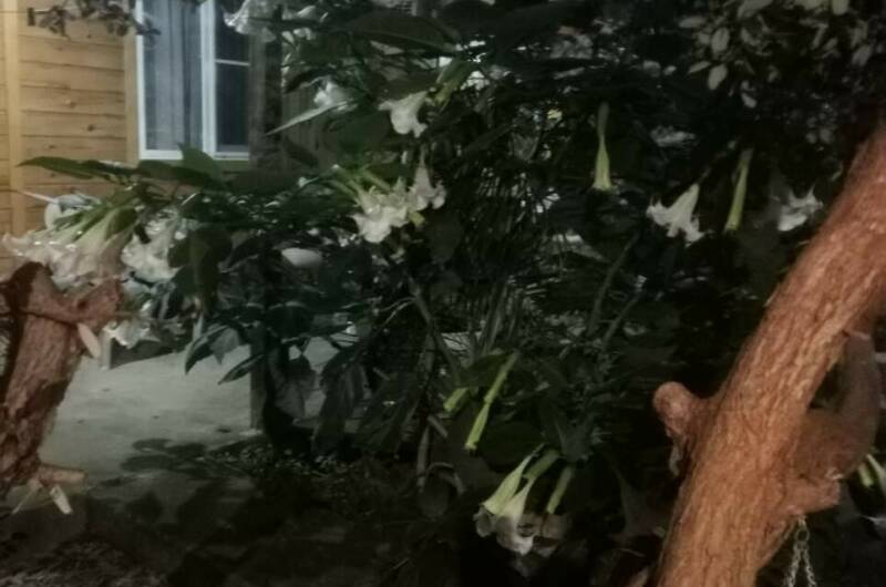 Изображение Изображение гостиницы &quot;Гостевой дом «У Аиды»&quot; #4 #2