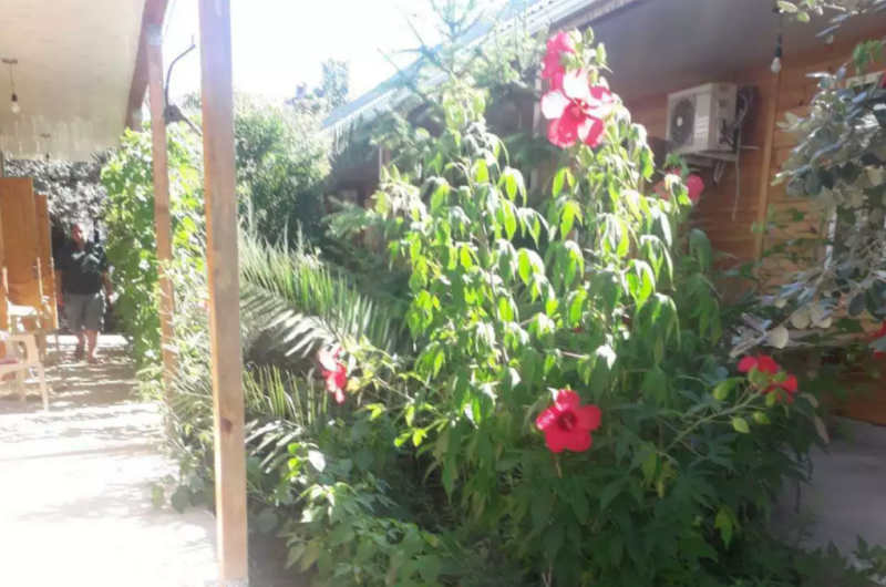 Изображение Изображение гостиницы &quot;Гостевой дом «У Аиды»&quot; #5 #3