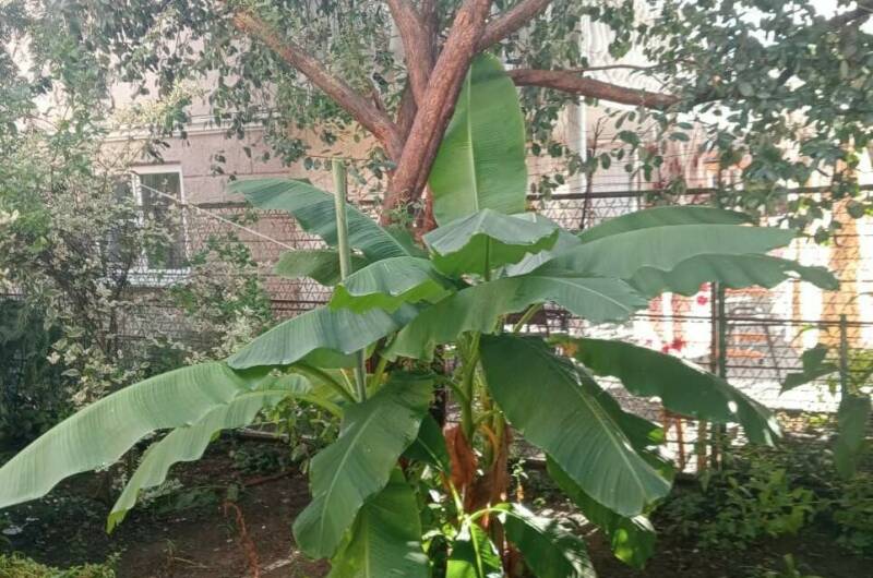 Изображение Изображение гостиницы &quot;Гостевой дом «У Аиды»&quot; #6 #4