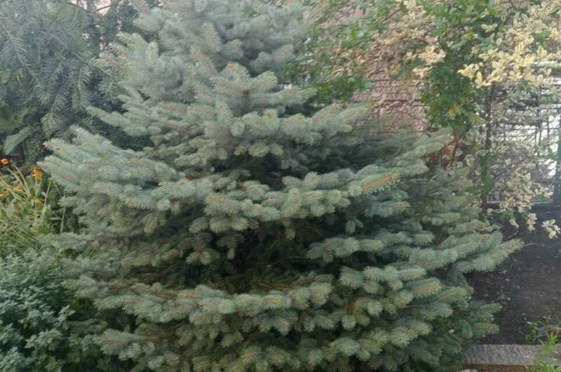 Изображение Изображение гостиницы &quot;Гостевой дом «У Аиды»&quot; #7 #5