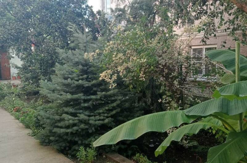 Изображение Изображение гостиницы &quot;Гостевой дом «У Аиды»&quot; #9 #7