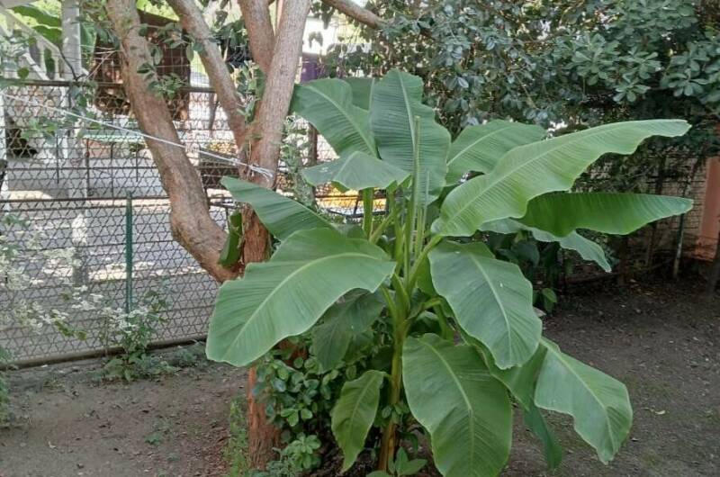 Изображение Изображение гостиницы &quot;Гостевой дом «У Аиды»&quot; #11 #9