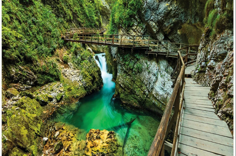 Изображение Изображение гостиницы &quot;Гостевой дом «Солнце Кавказа»&quot; #4 #2