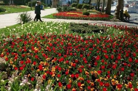 Изображение Изображение квартиры &quot;Студия на Крымской&quot; #5 #3