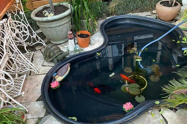 Изображение Изображение гостиницы &quot;Гостевой дом «Марго»&quot; #3 #1