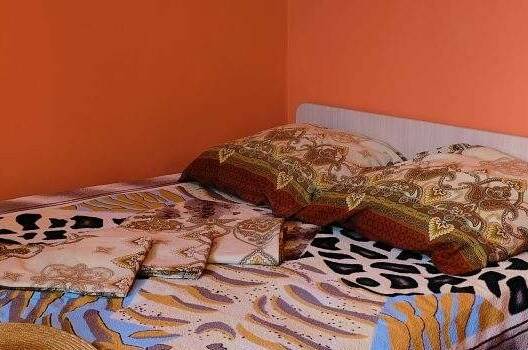 Изображение Изображение гостиницы &quot;Гостевой дом «Маргарита-Холидей»&quot; #5 #3