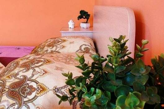 Изображение Изображение гостиницы &quot;Гостевой дом «Маргарита-Холидей»&quot; #10 #8