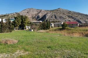 Гостевой дом «Eco botanica»