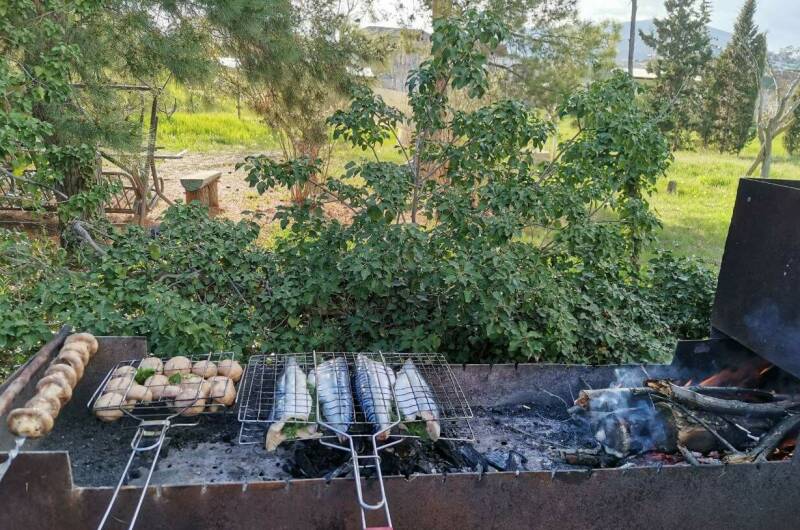 Изображение Изображение гостиницы &quot;Гостевой дом «Eco botanica»&quot; #3 #1