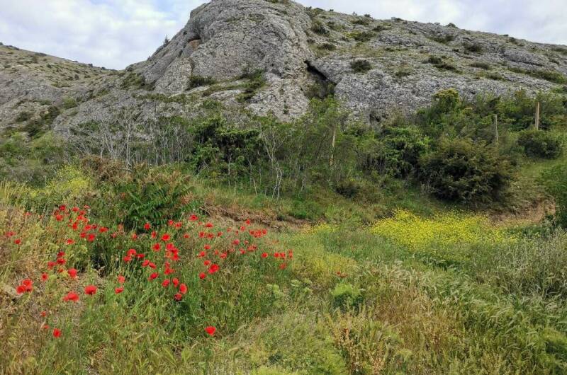 Изображение Изображение гостиницы &quot;Гостевой дом «Eco botanica»&quot; #4 #2