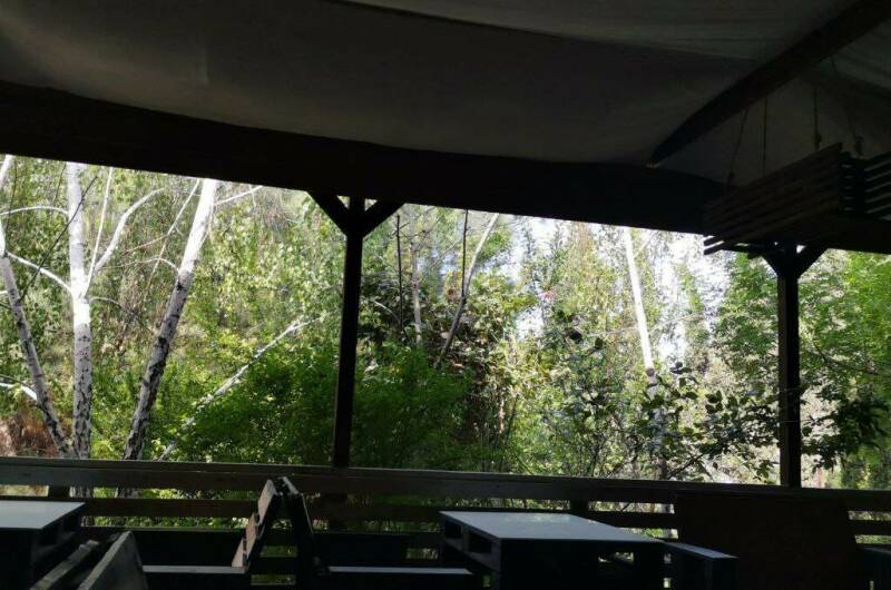 Изображение Изображение гостиницы &quot;Гостевой дом «Eco botanica»&quot; #6 #4