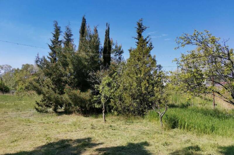 Изображение Изображение гостиницы &quot;Гостевой дом «Eco botanica»&quot; #8 #6