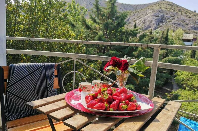 Изображение Изображение гостиницы &quot;Гостевой дом «Eco botanica»&quot; #9 #7