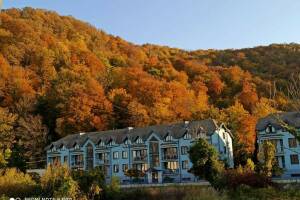 Изображение квартиры / апартамента "Апартаменты «Агой»"