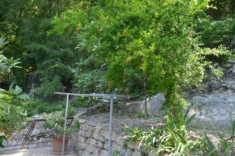 Изображение Изображение гостиницы &quot;Гостевой дом «Дом с флагом»&quot; #7 #5