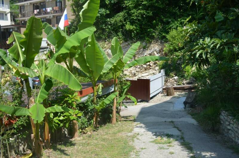 Изображение Изображение гостиницы &quot;Гостевой дом «Дом с флагом»&quot; #11 #9