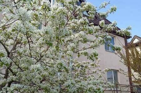 Изображение Изображение гостиницы &quot;Гостевой дом «ЛюбоМорье»&quot; #6 #4