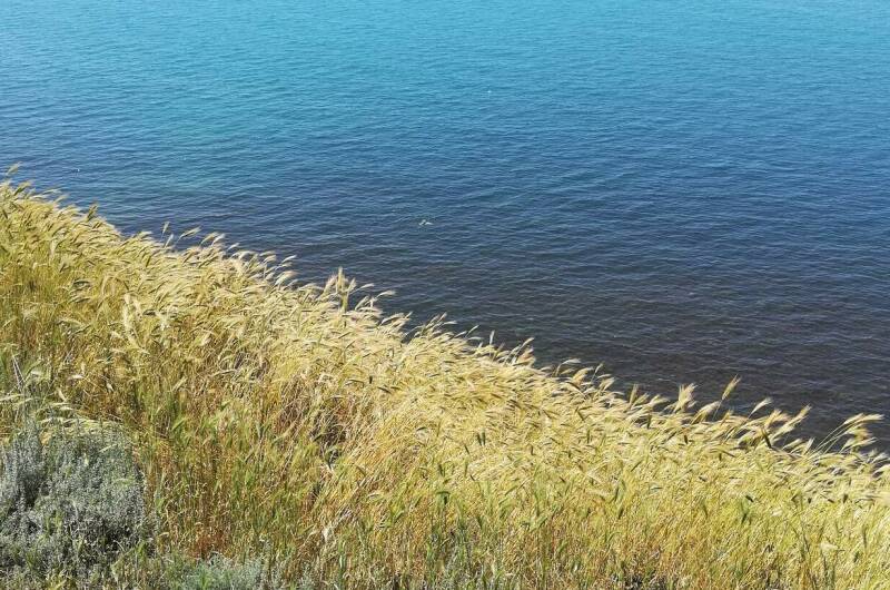 Изображение Изображение гостиницы &quot;Гостевой дом «На высоком берегу»&quot; #11 #9