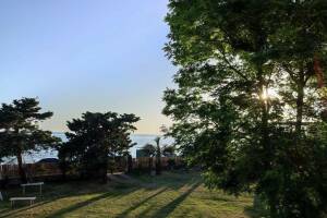 Изображение отеля / гостиницы "Гостевой дом «Белый Дельфин»"