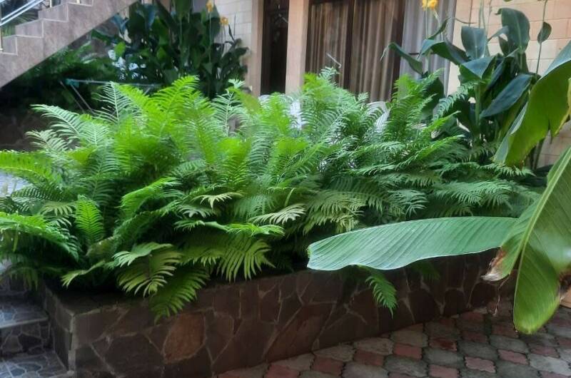 Изображение Изображение гостиницы &quot;Гостевой дом «Пальма»&quot; #6 #4