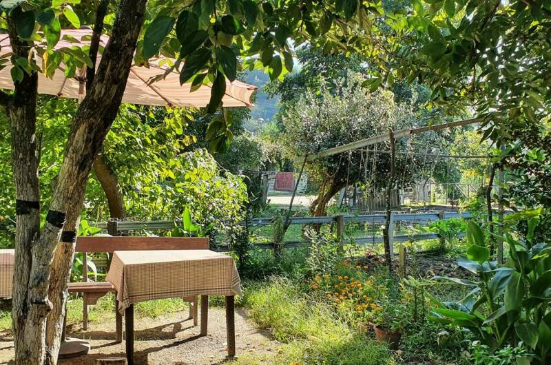 Изображение Изображение гостиницы &quot;Гостевой дом «Золотые Пески»&quot; #5 #3