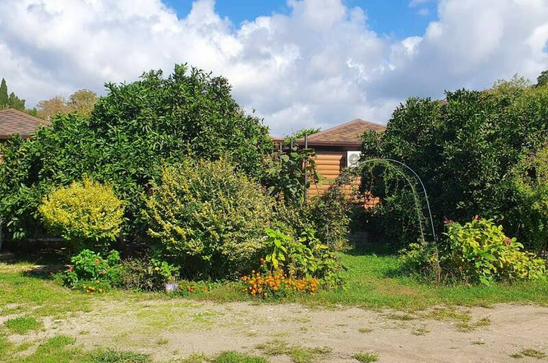 Изображение Изображение гостиницы &quot;Гостевой дом «Золотые Пески»&quot; #10 #8